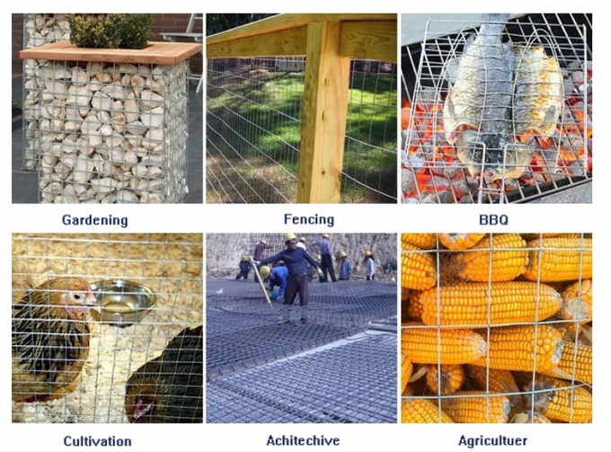 BWG23 قفص الحيوانات 1/2 بوصة الفولاذ المقاوم للصدأ شبكة سلكية ملحومة 201 درجة 1